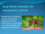 EASY HOME REMEDIES FOR MOSQUITOES CONTROL