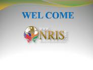 Popular Websites In New York