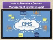 How to Become a Content Management Systems Expert
