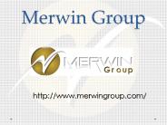 Electric Power Transmission - www.merwingroup.com (1)
