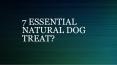 7 ESSENTIAL NATURAL DOG TREAT PowerPoint PPT Presentation