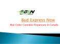 Bud Express Now- New Products