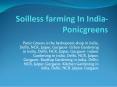 Hydroponics Farming System In India PowerPoint PPT Presentation