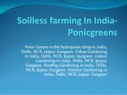 Hydroponics Farming System In India