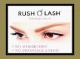 Eyelash and Eyebrow Enhancing Serum PowerPoint PPT Presentation