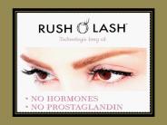 Eyelash and Eyebrow Enhancing Serum