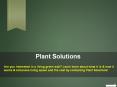 Living Wall PowerPoint PPT Presentation