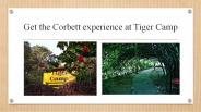 hotels in ramnagar corbett