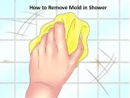 How to Remove Mold in Shower