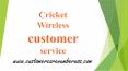 How To Contact Cricket Wireless Service for Support