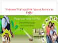 Best Pest Control Service in Delhi PowerPoint PPT Presentation