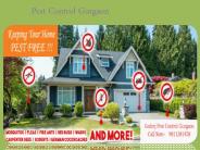godrej pest control gurgaon