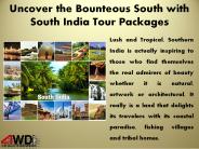 Uncover the Bounteous South with South India Tour Packages