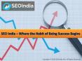 SEO India – Where the Habit of Being Success Begins PowerPoint PPT Presentation