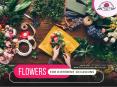 Flowers for Different Occasions from Boynton Beach Florist PowerPoint PPT Presentation
