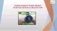 Global Outdoor Watch Market Professional Survey Report 2018 PowerPoint PPT Presentation