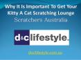Why it is important to get your kitty a Cat Scratching Lounge PowerPoint PPT Presentation