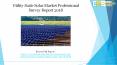 Utility scale solar market professional survey report 2018 PowerPoint PPT Presentation