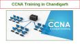 CCNA Training in Chandigarh (1) PowerPoint PPT Presentation