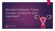 Blocked Fallopian Tubes - Symptoms, Causes and Treatment