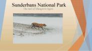 sundarbans national park