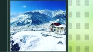 Cottages in manali