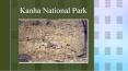 Kanha National Park PowerPoint PPT Presentation