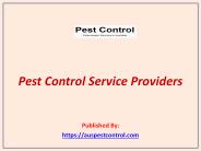 Pest Control Service Providers