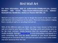 Bird wall art PowerPoint PPT Presentation