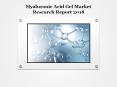 Global Hyaluronic Acid Gel Market Research Report 2018 PowerPoint PPT Presentation