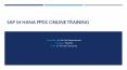 SAP S4 HANA PPDS PPT | S4 HANA PPDS Online Training USA PowerPoint PPT Presentation