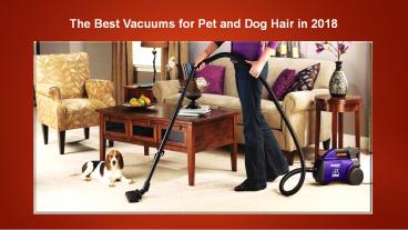 The Best Vacuums for Pet and Dog Hair in 2018