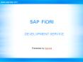 SAP Fiori Development - Best Practices to Design Custom UI PowerPoint PPT Presentation