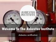 The Asbestos Institute Presentation
