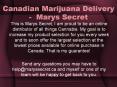 Canadian Marijuana Delivery -  Marys Secret