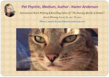 Animal Psychic, Animal Communicator