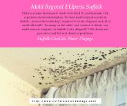 Water Damage Repair Suffolk