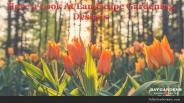 Gorgeous Landscape Design for Making Beautiful Moments
