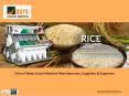 Onion Flakes Sorter Machine Manufacturers PowerPoint PPT Presentation