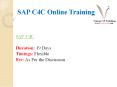 SAP C4C PPT (3) PowerPoint PPT Presentation