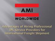 Advantages of Hiring Professional 3PL Service Providers for International Freight Shipment