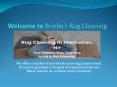Brielle’s Rug Cleaning PowerPoint PPT Presentation