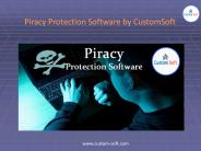 Piracy Protection Software by CustomSoft
