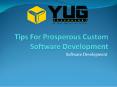 Tips For Prosperous Custom Software Development PowerPoint PPT Presentation