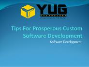 Tips For Prosperous Custom Software Development
