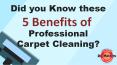5 Benefits of Professional Carpet Cleaning PowerPoint PPT Presentation