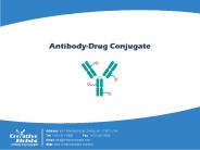 A Brief Introduction of Antibody-Drug Conjugate—Creative Biolabs