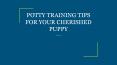 POTTY TRAINING TIPS FOR YOUR CHERISHED PUPPY PowerPoint PPT Presentation