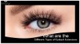 What are the Different Types of Eyelash Extensions PowerPoint PPT Presentation