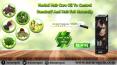 Herbal Hair Care Oil to Control Dandruff and Hair Fall Naturally